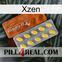 Xzen 42